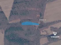 Prodej podílu lesa, Březůvky, 1828 m2