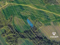 Prodej lesa, Jalubí, 2603 m2