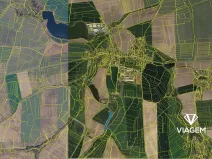 Prodej podílu lesa, Bečváry, 1287 m2