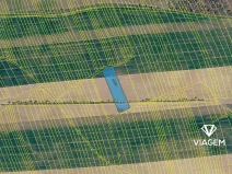 Prodej podílu pole, Boršice, 400 m2