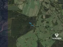 Prodej podílu lesa, Suchdol nad Lužnicí, 13912 m2