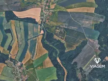 Prodej lesa, Jindřichov, 1945 m2