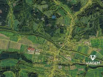 Prodej lesa, Hovězí, 7071 m2