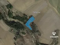 Prodej lesa, Buřenice, 5732 m2