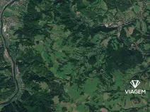 Prodej podílu lesa, Heřmanov, 7032 m2