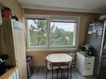Prodej bytu 2+1, Třebíč - Borovina, Řípovská, 54 m2