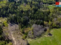 Prodej lesa, Železný Brod, 11203 m2