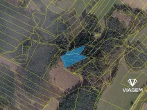 Prodej lesa, Řečice, 5650 m2