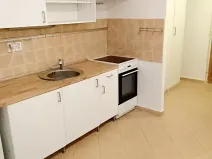 Pronájem bytu 1+1, Praha - Vinohrady, Řipská, 46 m2