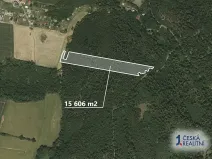 Prodej lesa, Opava, 15606 m2
