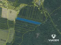 Prodej lesa, Opava, 15606 m2