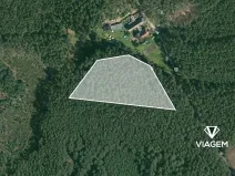 Prodej podílu lesa, Bělá pod Bezdězem, 1634 m2