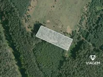 Prodej podílu lesa, Bělá pod Bezdězem, 824 m2