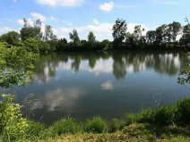 Prodej podílu rybníku, Kroměříž, 4592 m2