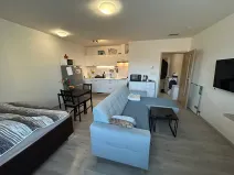 Pronájem bytu 1+kk, Brno, Gajdošova, 37 m2