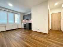 Prodej bytu 1+kk, Lovosice, Sady pionýrů, 25 m2