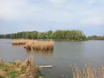 Prodej pozemku pro bydlení, Dolní Věstonice, 1941 m2