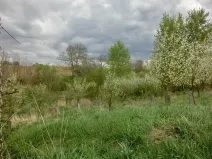 Prodej zahrady, Kunovice, 878 m2