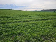 Prodej pole, Bystřice - Jírovice, 42871 m2