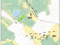 Prodej lesa, Dívčí Kopy, 3000 m2