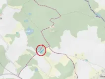 Prodej lesa, Dívčí Kopy, 3000 m2