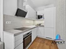 Pronájem bytu 2+kk, Praha - Holešovice, Dělnická, 52 m2