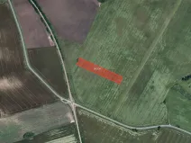 Prodej pole, Valtice, 11008 m2