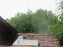 Dražba zahrady, Schořov, 601 m2