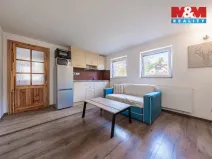 Pronájem bytu 1+kk, Březí, Jana Nepomuckého, 22 m2