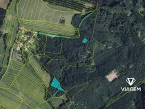 Prodej podílu lesa, Městečko Trnávka, 609 m2