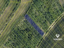 Prodej podílu louky, Kobylí, 1108 m2