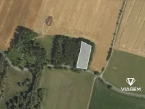 Prodej podílu lesa, Brodek u Konice, 1144 m2