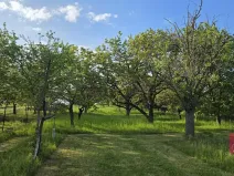 Prodej zahrady, Tvarožná, 2164 m2