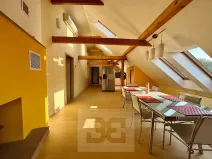 Pronájem bytu 3+kk, Velké Opatovice, Sokolská, 195 m2