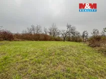 Prodej pole, Třebenice, 468 m2
