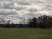 Prodej pozemku, Sloupno, 2906 m2