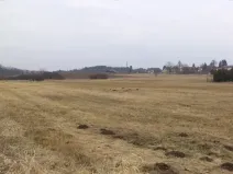 Dražba louky, Tojice, 1003 m2