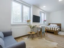 Pronájem bytu 1+kk, Zlín, Štefánikova, 24 m2