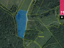 Prodej louky, Stráž nad Ohří, 9519 m2