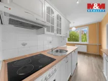 Prodej bytu 2+1, Děčín - Děčín XXVII-Březiny, Kosmonautů, 63 m2