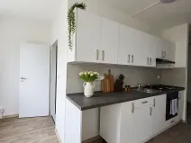 Pronájem bytu 3+1, Litvínov, Mládežnická, 82 m2