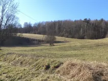 Prodej pozemku, Úštěk - Tetčiněves, 4600 m2