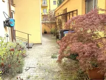 Prodej bytu 2+kk, Praha - Žižkov, Buchovcova, 55 m2