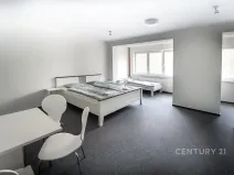 Prodej ubytování, Most, Pod Širokým vrchem, 312 m2