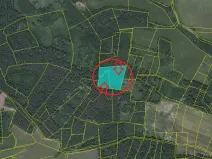 Prodej podílu lesa, Milejovice, 1918 m2