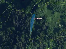 Dražba lesa, Český Dub, 448 m2