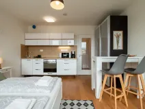 Pronájem bytu 1+kk, Praha - Vinohrady, Perucká, 25 m2