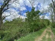 Prodej lesa, Silůvky, 114 m2