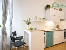 Pronájem bytu 1+kk, Brno, Koliště, 21 m2