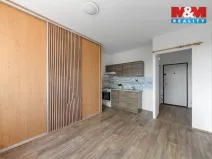 Prodej bytu 1+1, Ústí nad Labem, Peškova, 35 m2